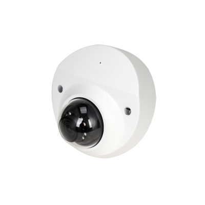 2MP Mobile Fixed-focal Dome Network Camera