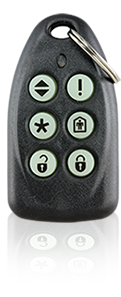 TX6_ICON -6 Button Glow-In-Dark Keyring Remote Code-Hopping (403MHz)