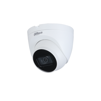 2MP Lite IR Fixed-focal Eyeball Network Camera
