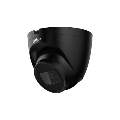 2MP Lite IR Fixed-focal Eyeball Network Camera